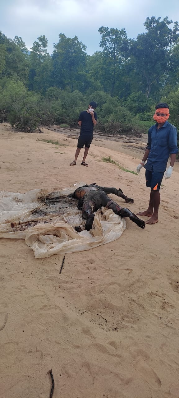 हर्रई नाला में बहा युवक, पुल नहीं होने से हुई दुखद मौत – सरगुजा छत्तीसगढ़ 2025